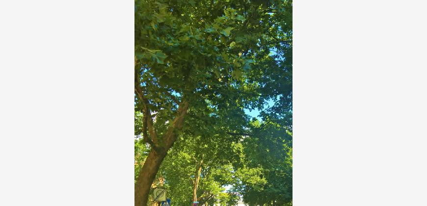 Wohnung Kloten 49 Wohnungen Zur Miete In Kloten Von Nuroa Ch