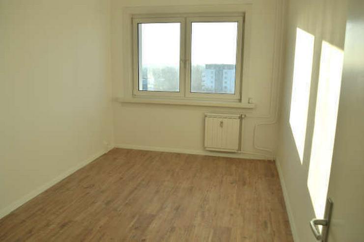 2 Raum Wohnung In Berlin Marzahn